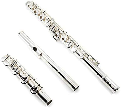 Amazon.com: Azumi Flute (AZ2SRBO) : Musical Instruments